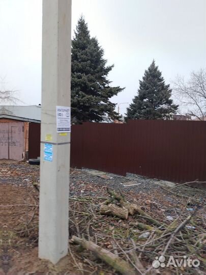 Ёлка сама вывезен