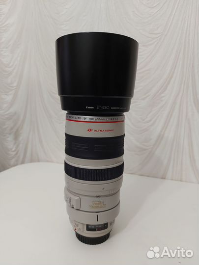 Canon EF 100-400mm f/4.5-5.6L IS USM
