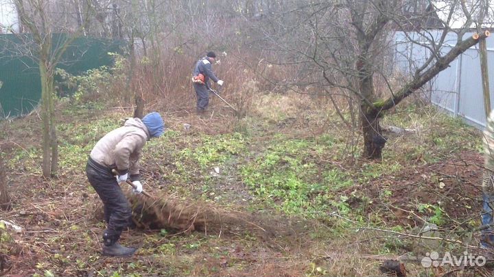Уборка на вашем участке