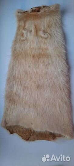 Мех шкурка нутрии (рукавом / спинка и брюшко)