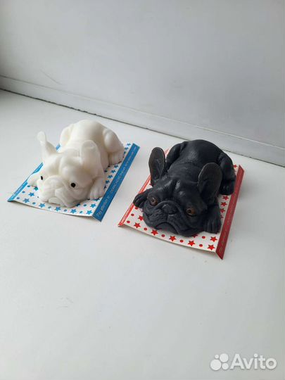 Сквиш Бульдог