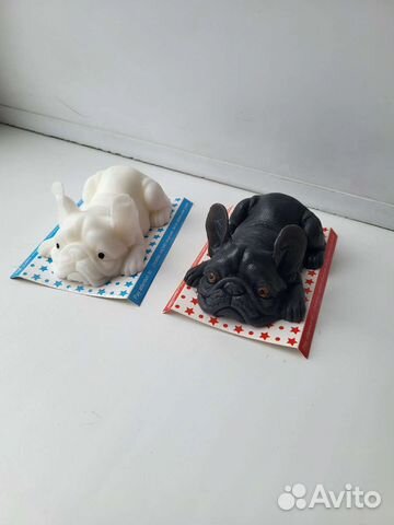 Сквиш Бульдог