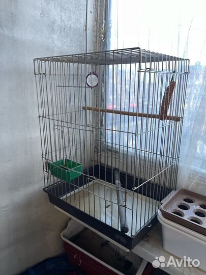 Клетка для попугая