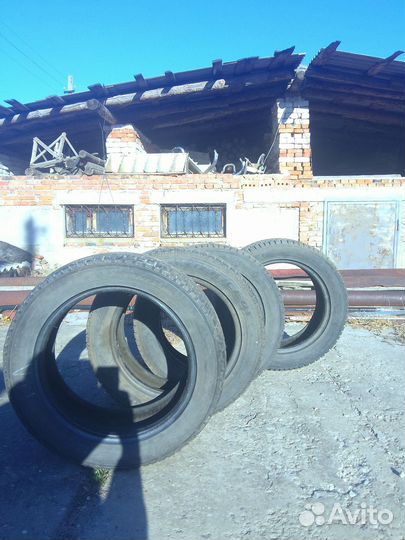 Dunlop SP Winter Ice 01 205/55 R16