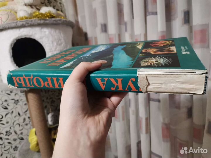 Энциклопедия