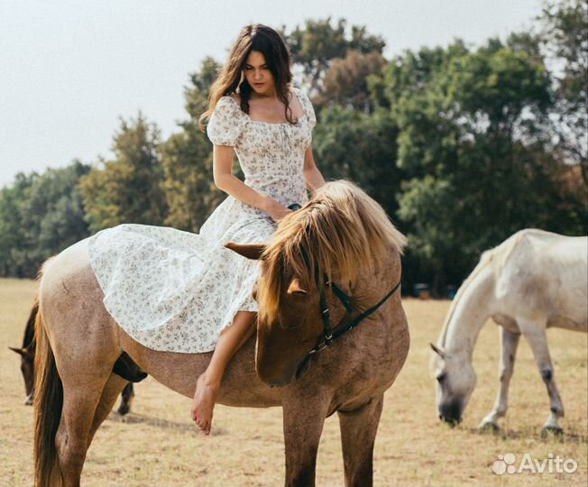 Мерин 2015 г.р. полутяж