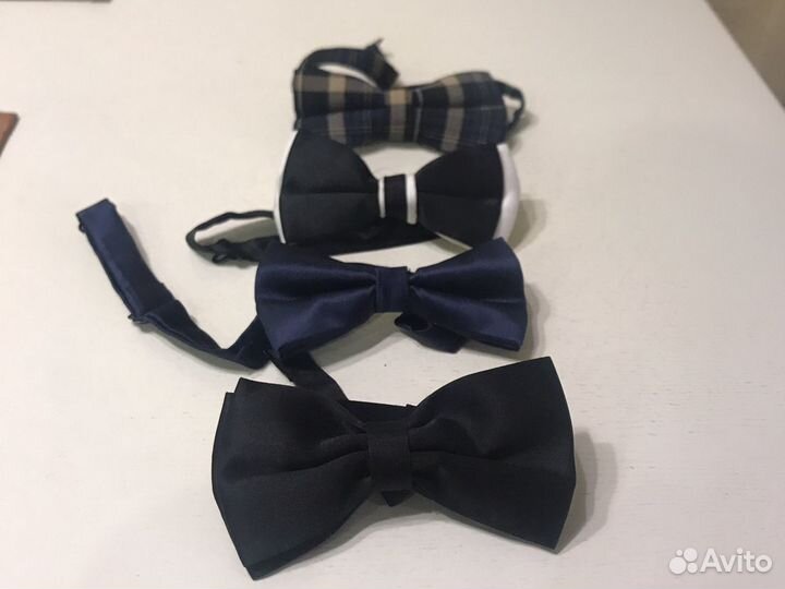 Бабочка мужская