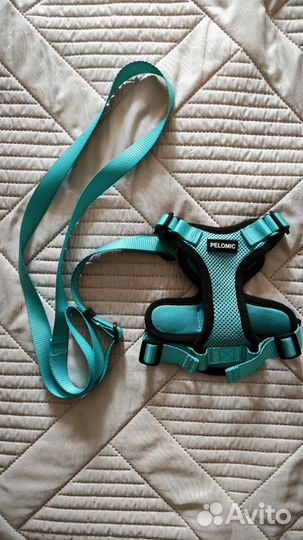 Шлейка и поводок для кошек