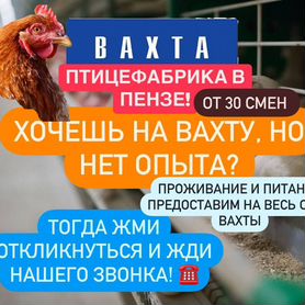 Вахта упаковщиком на птицефабрику с проживанием