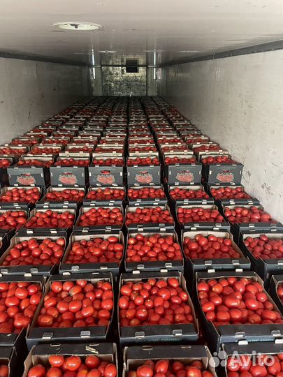 Помидоры сливка оптом