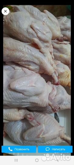 Мясо перепелов