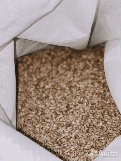 Продам готовый бизнес Пивоварня