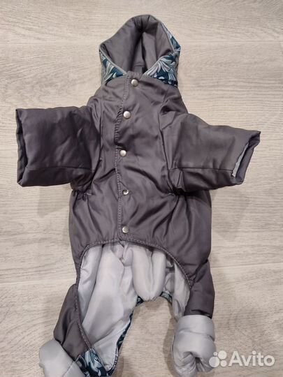 Костюмчик на собачку