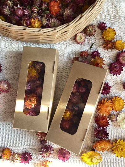 Сухоцветы для творчества