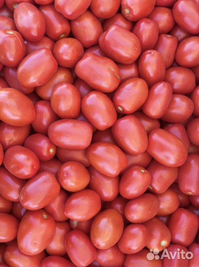 Помидоры сливка