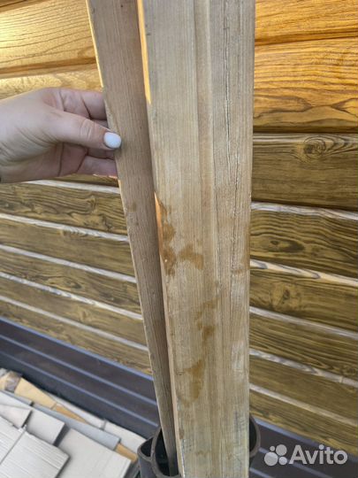 Лыжи охотничьи