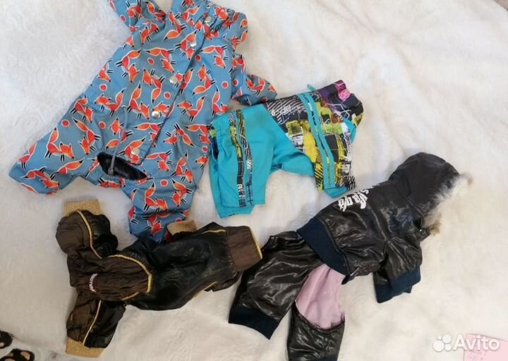 Одежда для собак пакетом