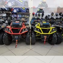 Aodes Pathcross ATV 1000 L MUD PRO EPS двухместный