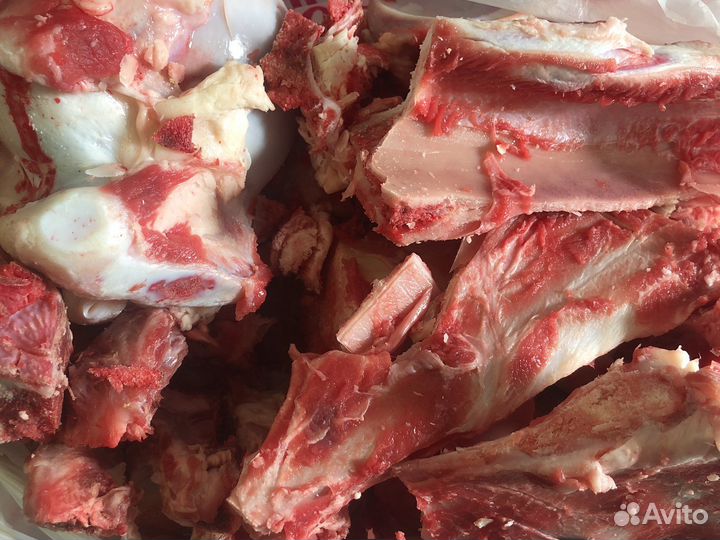 Мясо для собак