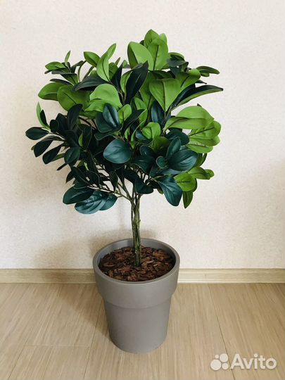 Дерево Фикус Пальма искусственные цветы Икеа