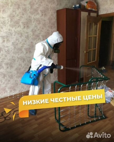 Уничтожение тараканов, клопов. Дезинфекция