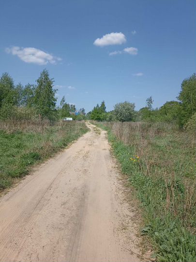 Участок 24 сот. (СНТ, ДНП)