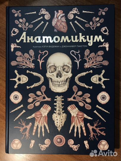 Анатомикум книга кэти видеман дженнифер пакстон
