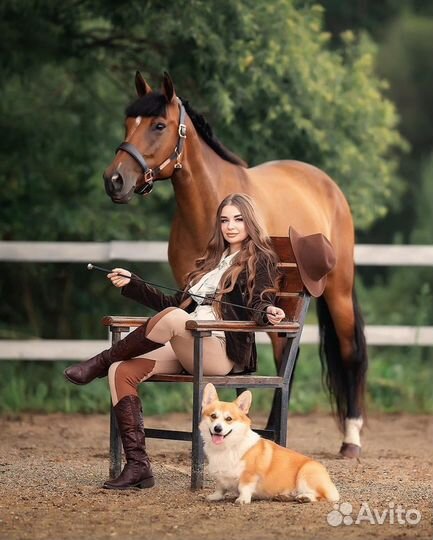 Фотосессии с лошадьми Москва