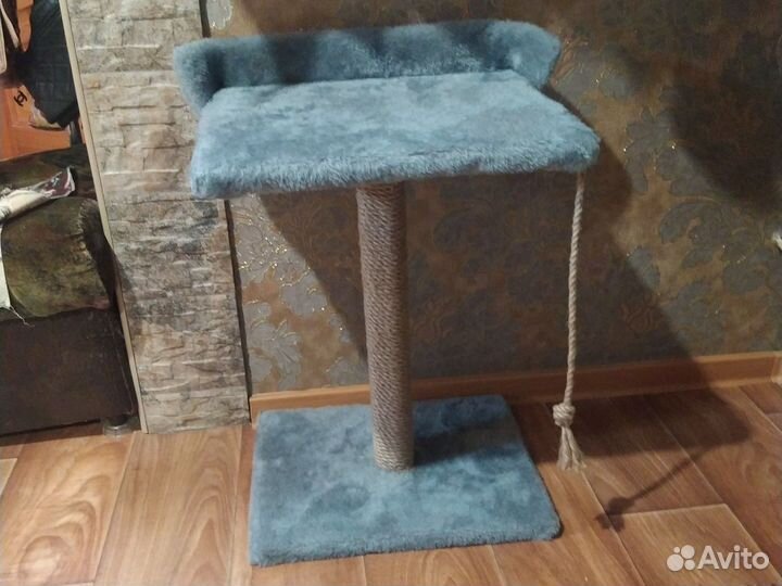 Когтеточка