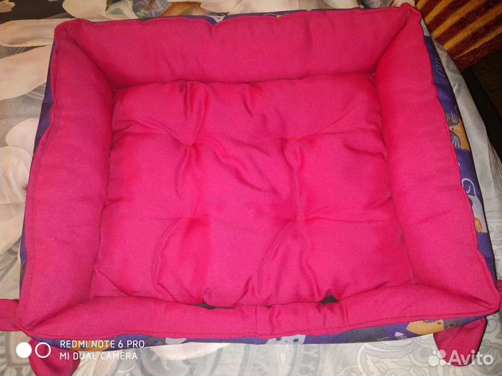 Одежда для собак