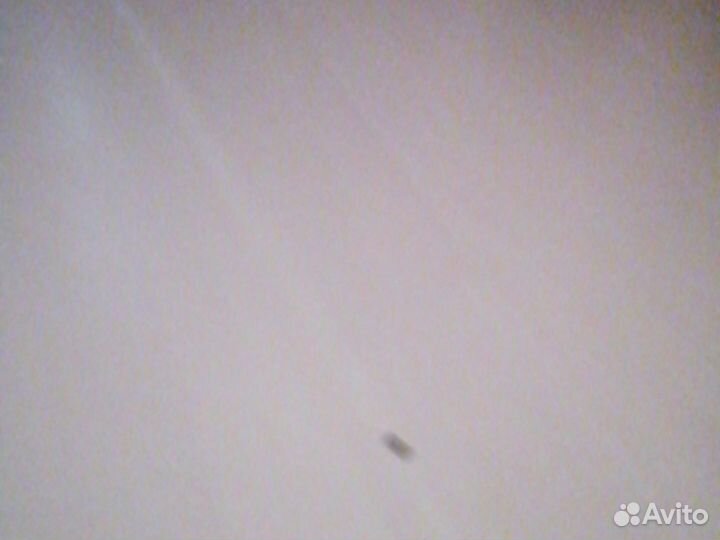 Домашние питомцы