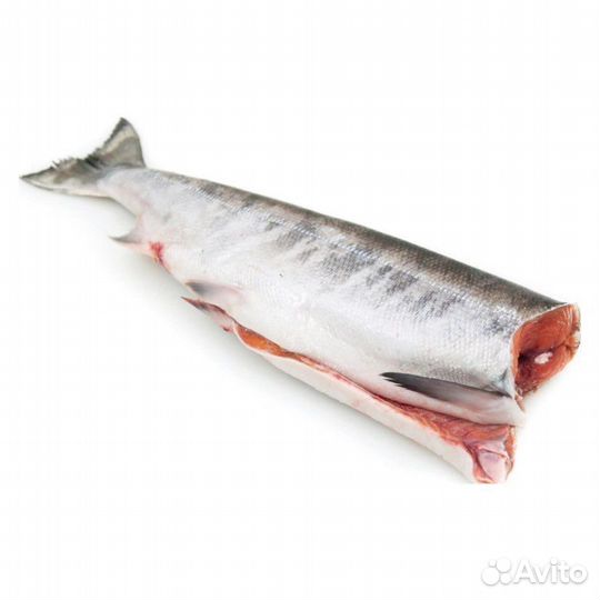 Кета свежемороженая