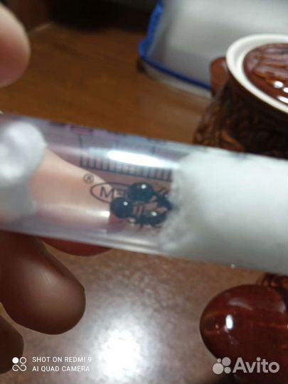 Матки жнецов