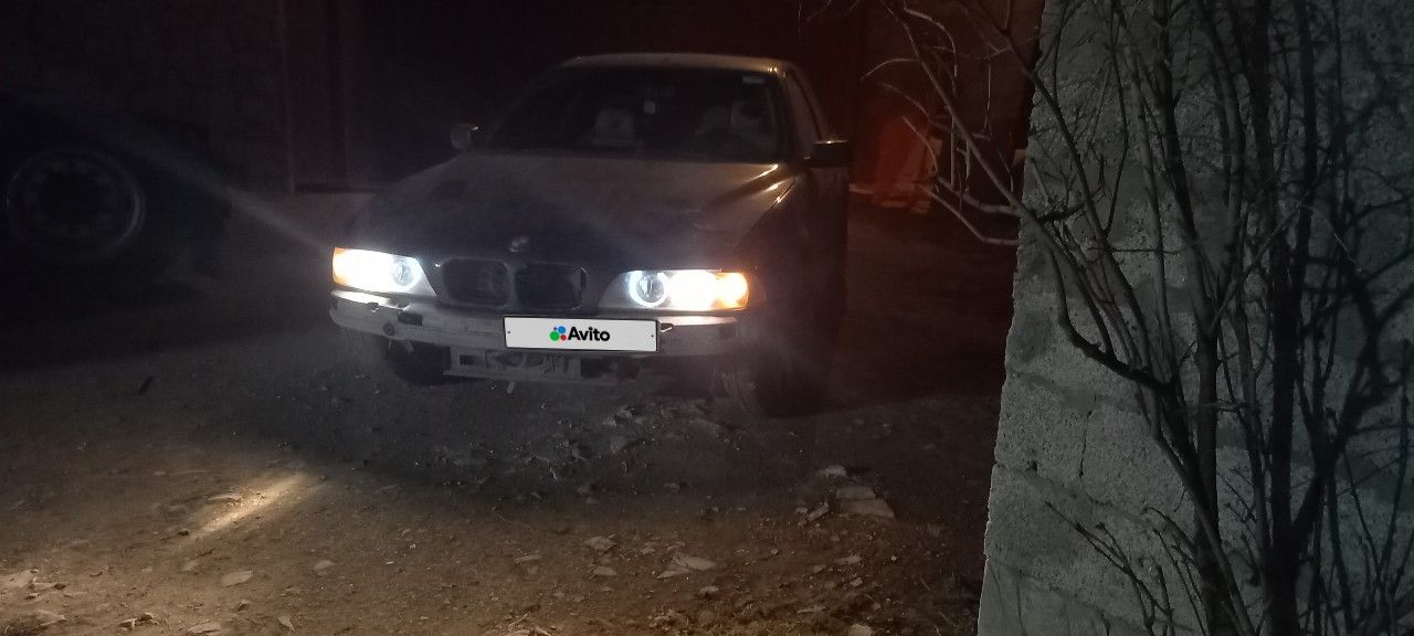 BMW 5 серия: фото владельца