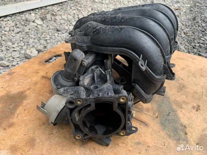 Коллектор впускной Ford Focus DB 1.8L duratec-HE