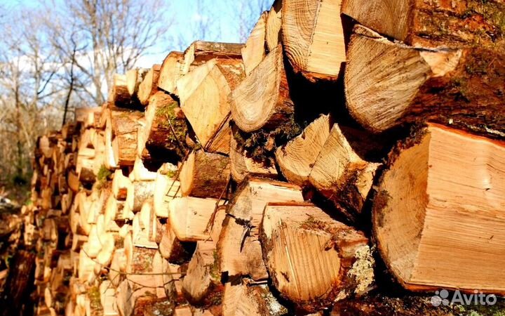 Дрова в баню на дачу