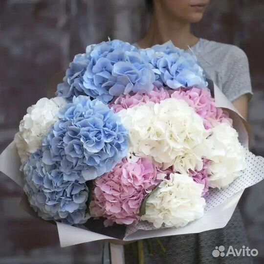 Букет из гортензий 11 21 31 51 101 Доставка