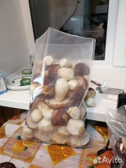 Белые грибы