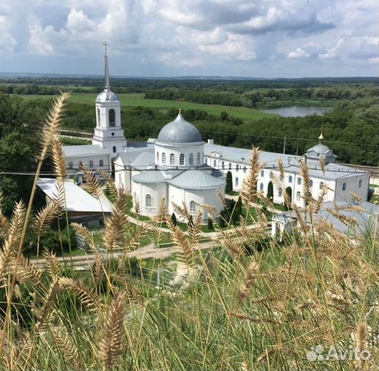 «Молочная ферма эконива»+«Тайны дивногорских пещер