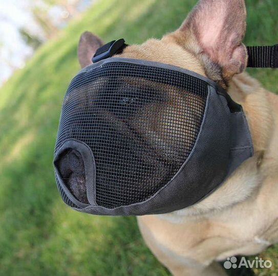 Намордник для короткомордых пород собак