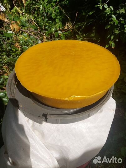 Воск пчелиный