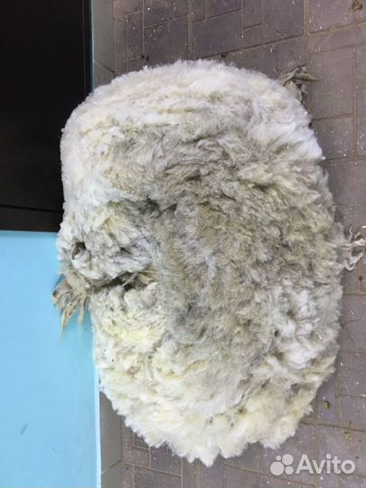 Овечья шерсть
