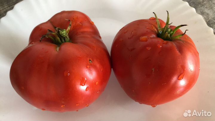 Семена томатов
