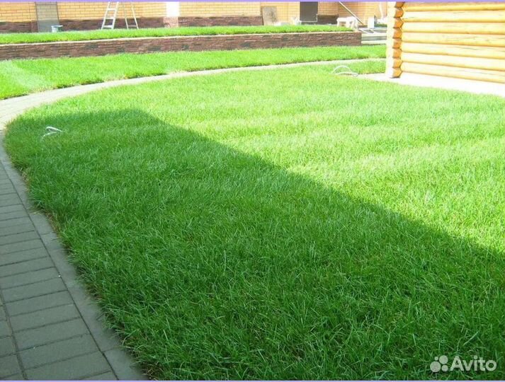 Газон рулонный от производителя спортивный
