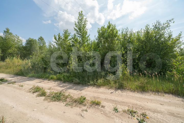 Участок 6,5 сот. (СНТ, ДНП)