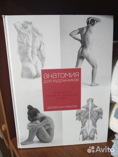 Анатомия для художников - Джованни Чиварди