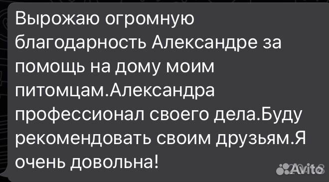 Ветеринарный врач на дом терапевт хирург ратолог