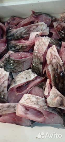 Свежая рыба, чистка, резка, доставка