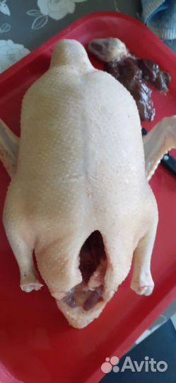 Мясо домашней утки стар 53