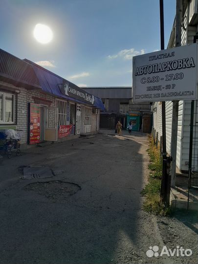 Куры бройлеры тушка